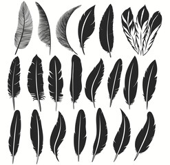 Bird feather icon, writing symbol. Fallen fluffy feathers isolated. vector - obrazy, fototapety, plakaty