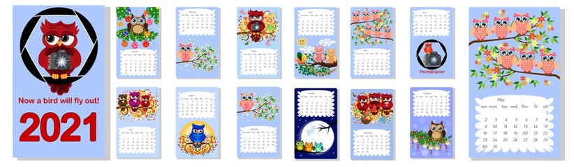 Calendar 2021. Cute owls and birds for every month.