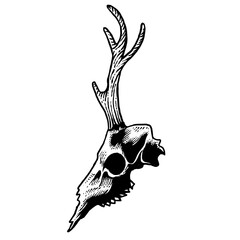 Deer Skull awesome illustration