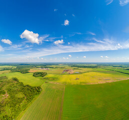 Summer rural landscape. Aerial view. View of wheat fields with beautiful sky