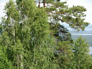 Fototapeta premium ural