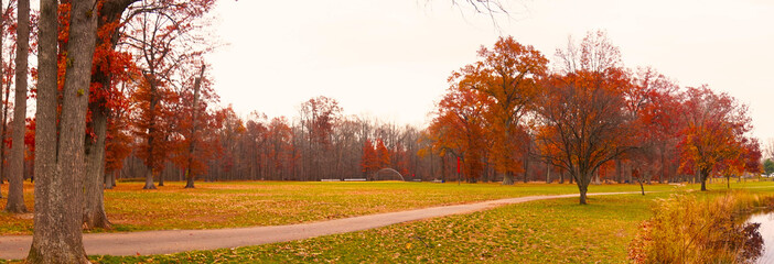autum in the park