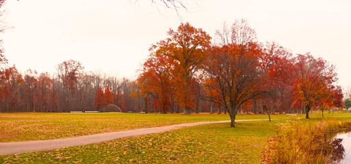 autum in the park