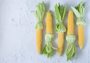 Farm fresh corn cobs ready to boil fry or bake