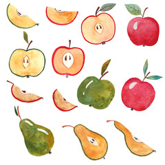 apple and pear, whole, half, slices. Red and green. watercolor illustration on white background