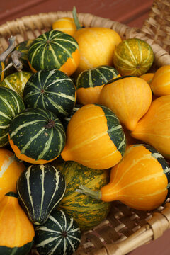 Vertical image of a collection of decorative 'Bicolor Pear' gourds displayed in a woven basket