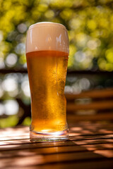 Golden beer with a large tasty foam on a wooden table against the backdrop of trees and the breaking sun on a holiday day