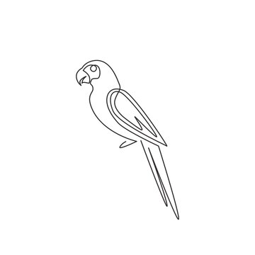 recommend clip art: One continuous line drawing of cute parrot bird with long tail for logo identity. Aves animal mascot concept for national conservation park icon. Single line draw design vector graphic illustration