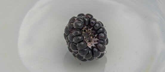Rubus occidentalis sweet black fruit with color background in hot summer