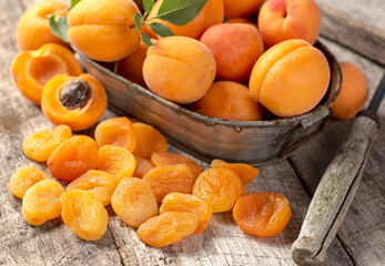 Fresh and dried apricots on rustic wood surface