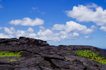 Panoramic view over lava fields and coast line in Volcanoes National Park on Big Island in Hawaii...