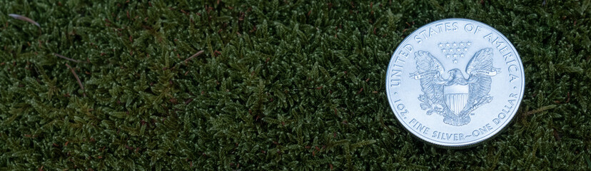Gl&auml;nzendes Feinsilber / Silber-Unze (US Silver Eagle) auf sehr dunklem Moos in der Natur