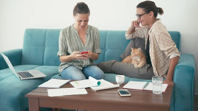 Two cheerful young women taking a selfie with a ginger cat on the couch using a smartphone. Self-employed entrepreneurs working from home and taking a pause for a photo.