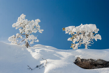 Paisajes nevados