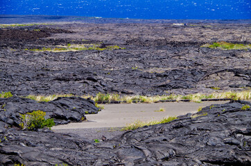 Country gravel road covered or run over by fertile lava field in Volcanoes National Park on Big...