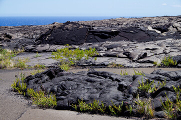 Country gravel road covered or run over by fertile lava field in Volcanoes National Park on Big...