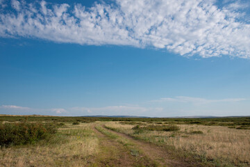 Fototapeta na wymiar Country road on a vast plain in the summer.