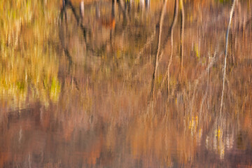 Obraz premium Colorful autumn forest with reflection in water of calm lake.