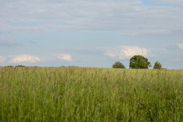 Green fields and forests against a blue sky.