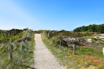 Fototapeta na wymiar Hiking trail through the dunes towards the sea in St. Peter Ording Dorf