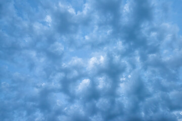 Sky background with altocumulus clouds - obrazy, fototapety, plakaty