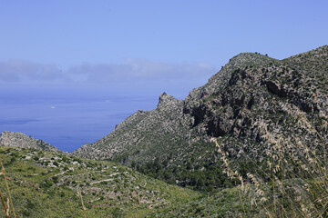 rocks in the mountains