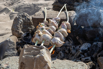 Roasted meat on coals. Rest on the nature. Picnic.