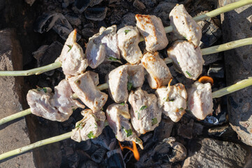 Roasted meat on coals. Rest on the nature. Picnic.