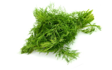 Branch of the dill herb isolated over the white background. Fresh fragrant bunch of dill. Fresh dill close up.