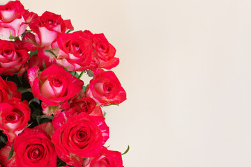 Fototapeta premium Beautiful bouquet of red roses on light background