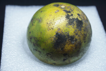 An orange fruit close-up