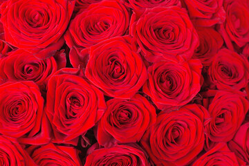 Natural red roses background close up texture