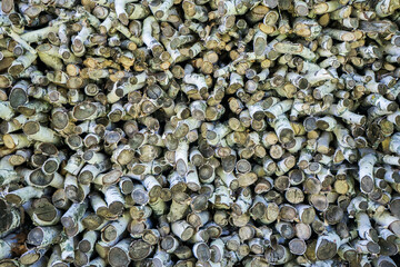 wooden logs background for wallpaper. Wood texture.