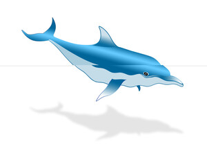 Dolphin