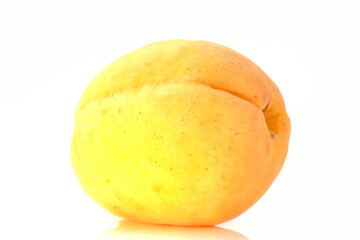 Naklejka na ściany i meble Fresh apricot on white background close up