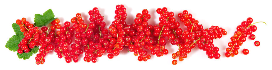 Red Currants with Leaves isolated on white Background