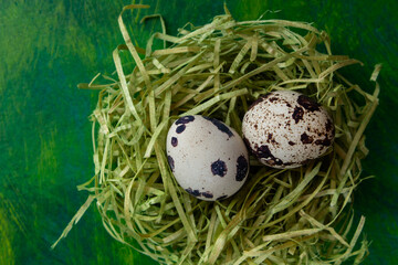 Quail eggs in nest on colored painted background, diet food