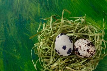 Obraz premium Quail eggs in nest on colored painted background, diet food