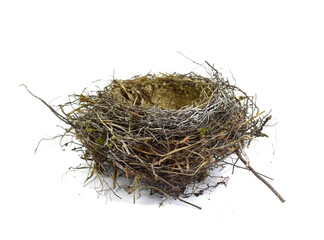 Nest isolated on white background. Beautiful bird nest.