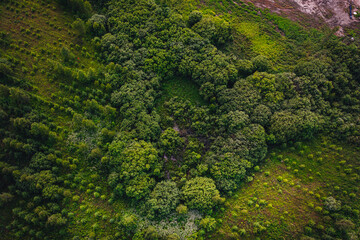 Aerial view on forest area in countryside, green tree background