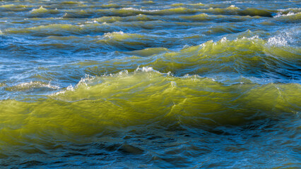 Stormy breaking sea wave with wind spray at sunny day.