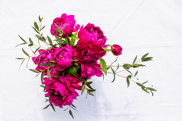 Bunch of peonies with eucalyptus sprigs, isolated on white