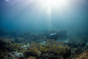 underwater sea scape with diver.