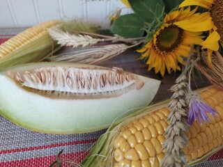 Yellow sunflowers fresh corn of cob melon ears of wheat on the table