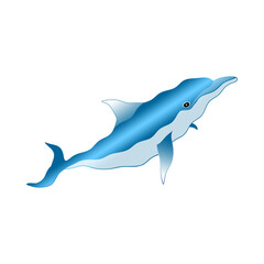 Obraz premium Dolphin