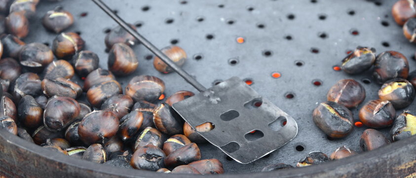 ROAST CHESTNUT IN WINTER