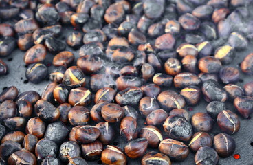 ROAST CHESTNUT IN WINTER