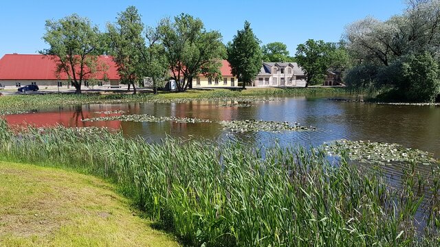 Houses and a reservoir overgrown along the shore with grass in the Latvian village of Kabile in May 2020