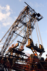 Giant excavator