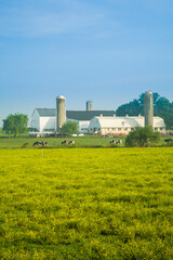 Fototapeta na wymiar Amish farm near Intercourse, PA